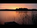 SOM DA BEIRA DE LAGO A NOITE - SAPOS, GRILOS, PÁSSAROS NOTURNOS - BARULHOS DA NATUREZA PARA RELAXAR!