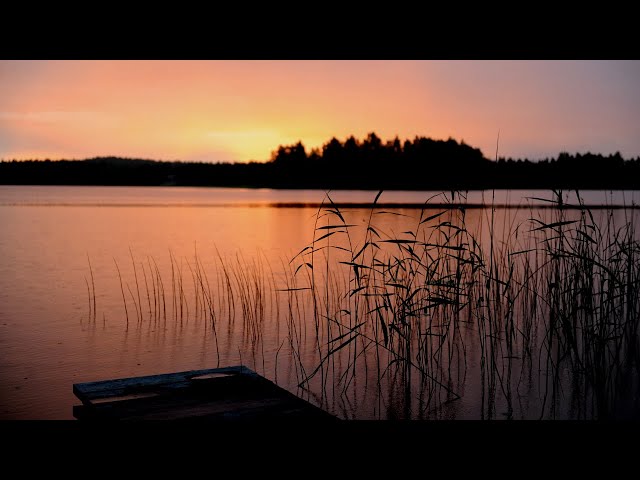 SOM DA BEIRA DE LAGO A NOITE - SAPOS, GRILOS, PÁSSAROS NOTURNOS - BARULHOS DA NATUREZA PARA RELAXAR! class=