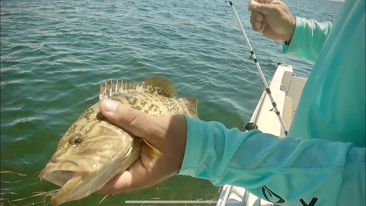 The Fishing Name Game. Lots of Fun YouTube