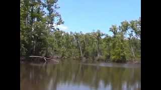 ESCAMBIA RIVER - A Trip from Solutia (Old Monsanto) Docks to Becks Lake
