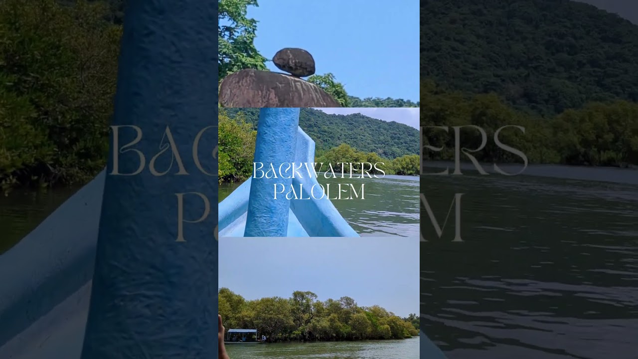 🌊 Backwaters of Palolem, Goa | Mangrove Forest Tour & Sea Eagle Spotting 🦅