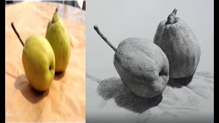 Graphite pencil drawing of Pears Fruit