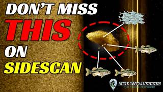 This SideScan Trick Saves Me Hours Of Wasted Time Looking For Bass