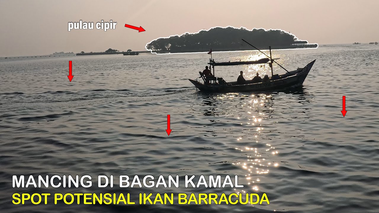 SPOT POTENSIAL IKAN BARRACUDA 😍 Mancing Di Bagan Kamal Muara || Mancing Gaes