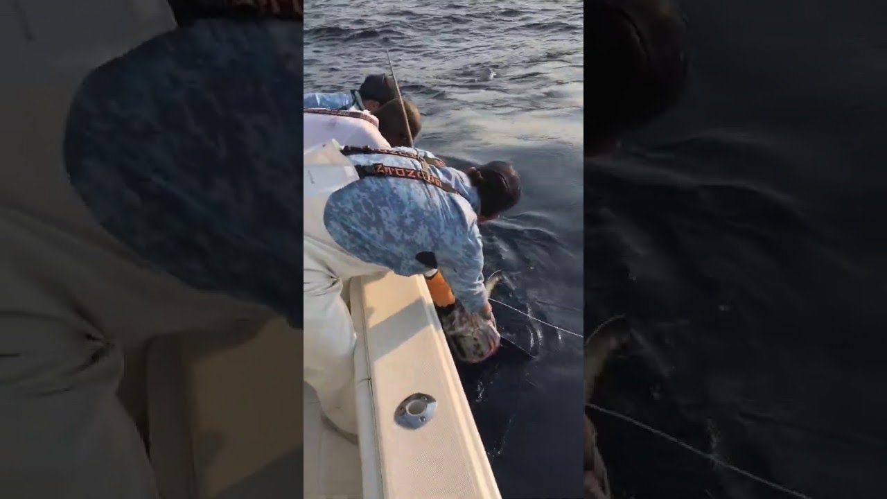 Reeling in the Catch of the Day ViralHog YouTube Reeling in the Catch of the Day ViralHog YouTube