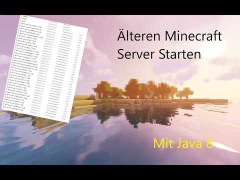 Minecraft Server mit anderer Java Version Starten | How to Minecraft Server