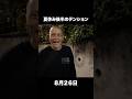 夏休み後半のテンション　#あるある