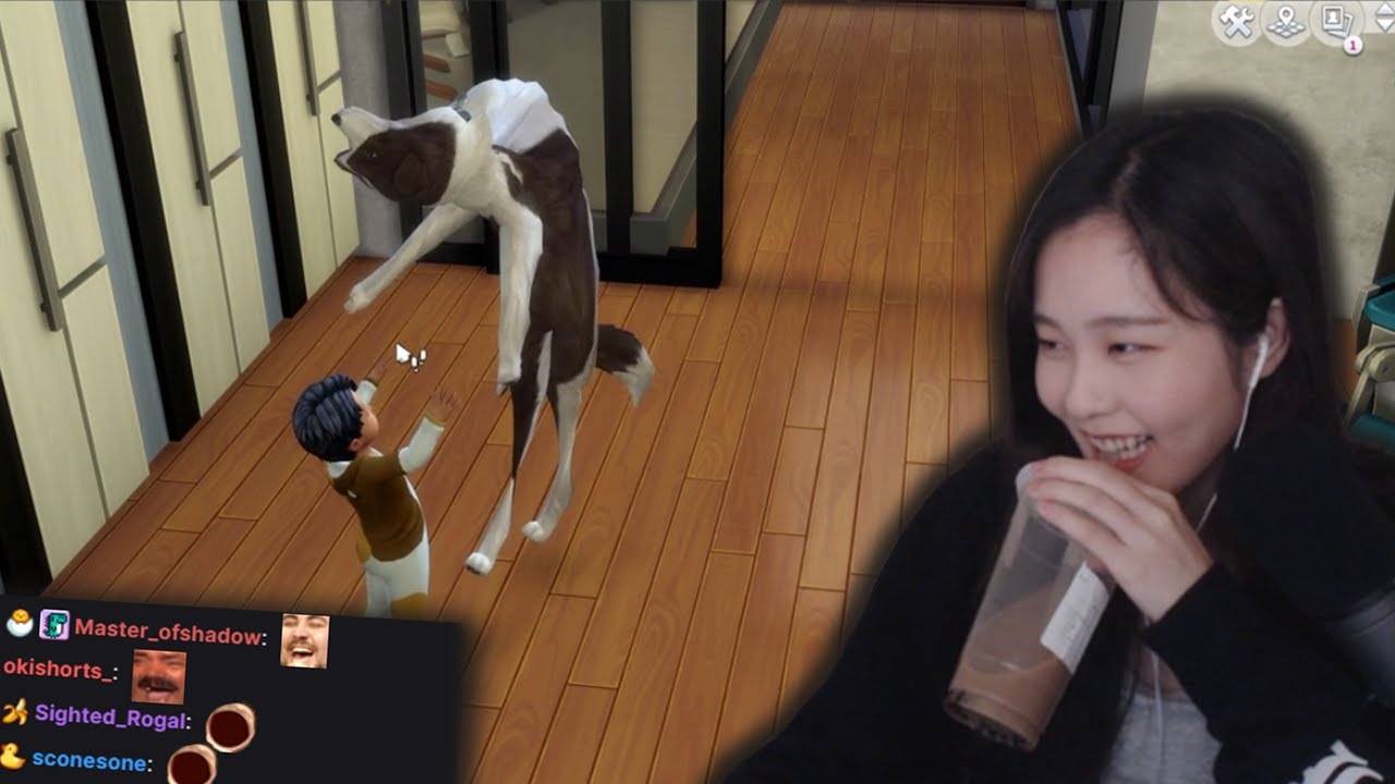 39daph's browsing reddit in the art section (very illegal) | special