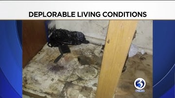 VIDEO: Hartford apartment complex shuts down after failing HUD inspection