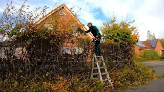 "We DIDN'T Pay You ENOUGH" Said The Homeowner When I Cut The Hedge