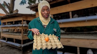 I Ignored THIS… and Lost Eggs