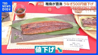 今年はお得！うなぎ500円値下げ！サクランボは「去年の半額」に？｜TBS NEWS DIG