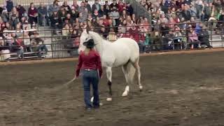 Endo the Blind and Morgan Extravaganza performance at the WA State Horse Expo.