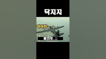 닥지지 - Youtube