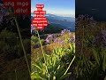 ITO ANG DAHILAN KUNG BAKIT NAGING SIKAT NA SIKAT NANG PASYALAN ANG MOUNT OLIS DITO SA ATOK BENGUET