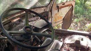 THE CAR VS WILD