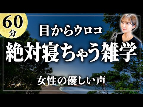 【睡眠用雑学】これであなたも絶対眠れます。寝ながら聴ける眠れるラジオ【女性朗読】