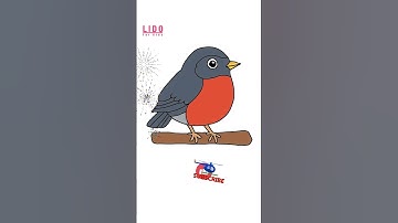 How to Draw a Cute Robin – Easy Bird Drawing for Kids & Beginners #lidoartworks