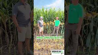 Lower your Nitrogen, Improve your Efficiency through RDX-N®