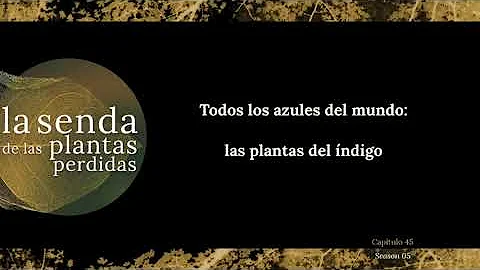 Todos los azules del mundo: las plantas del ndigo ...