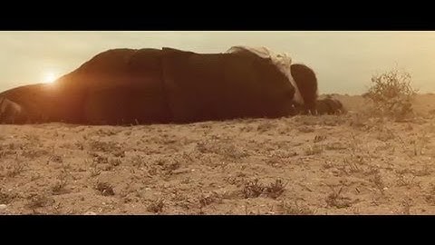 TEXTURES - Reaching Home (OFFICIAL MUSIC VIDEO)