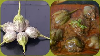 Gutti vankaya curry //stuffed brinjal curry// నెల్లూరు నూనె వంకాయ కూర