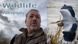UK WILDLIFE Photography in the wind | Summer Leys Nature Reserve, UK.