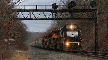 A Colorful Consist On NS 60F - Larimer PA
