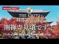 【速報】11月30日(土)の南禅寺の紅葉状況！ついに見頃を迎える！京都の紅葉状況を世界最速でお届け！