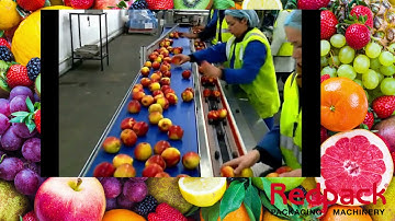 Redpack P325E FI - perfect for fruit and vegetables without a punnet