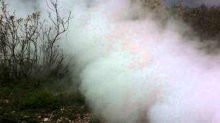 South Texas Steam Flood Alternative View