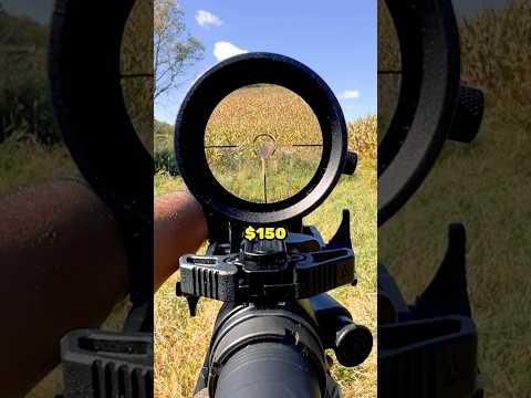 This $150 LPVO Actually Holds Zero!