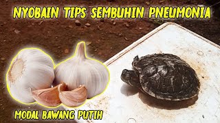 COBA TIPS MENYEMBUHKAN PNEUMONIA PAKE BAWANG PUTIH. EMANG BISA ?