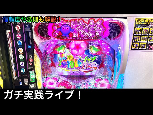 沖海5桜verをパチンコ屋さんから生配信【Pスーパー海物語in沖縄5桜