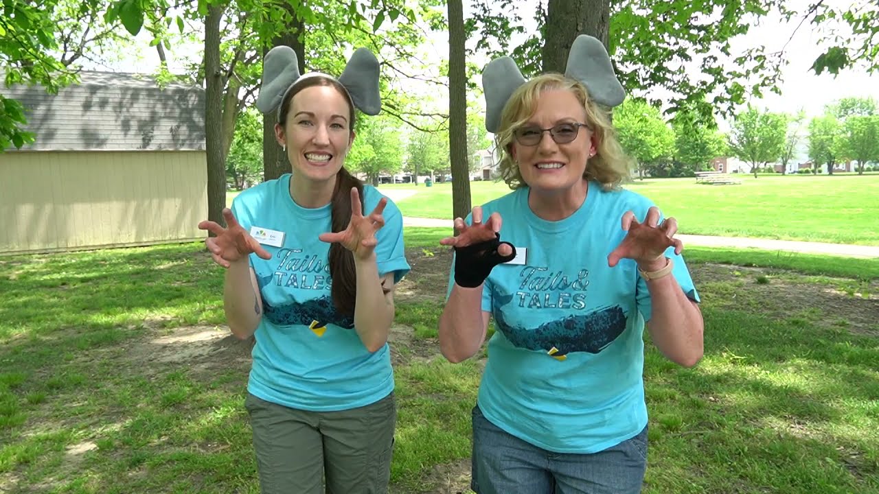 The Wild Side: Keep Cool Like an Elephant