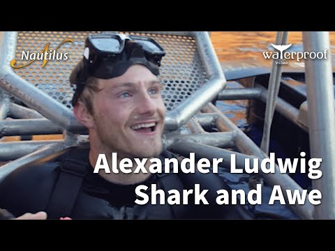 Wideo: Alexander Ludwig Net Worth