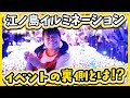 【まいあんつ】都心から約1時間！イルミの中でリゾートお仕事体験