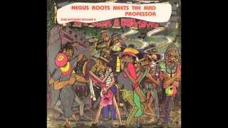 Negus Roots Meets The Mad Professor In A Rub A Dub Style