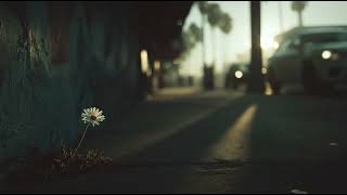 Daisy Bloom Vol.5 | Slow Motion Sun ☀️ | Soulful Boom Bap & Chill Hip-Hop Grooves for Reflection