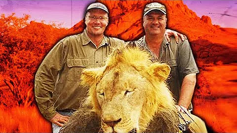 The Search for Cecil's Killer