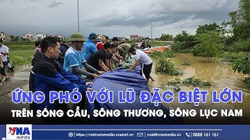 Ứng phó với lũ đặc biệt lớn trên sông Cầu, sông Thương, sông Lục Nam - Tin Trong nước - VNAMedia