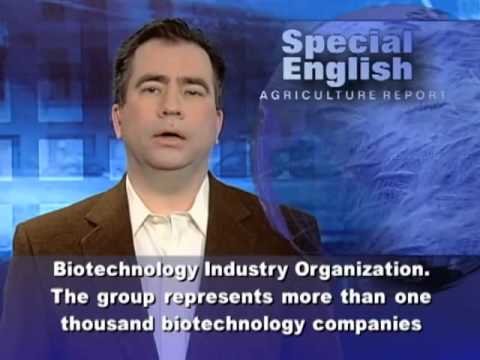 US Lets Farmers Plant Biotech Sugar Beets, With Conditions camera iphone 8 plus apk