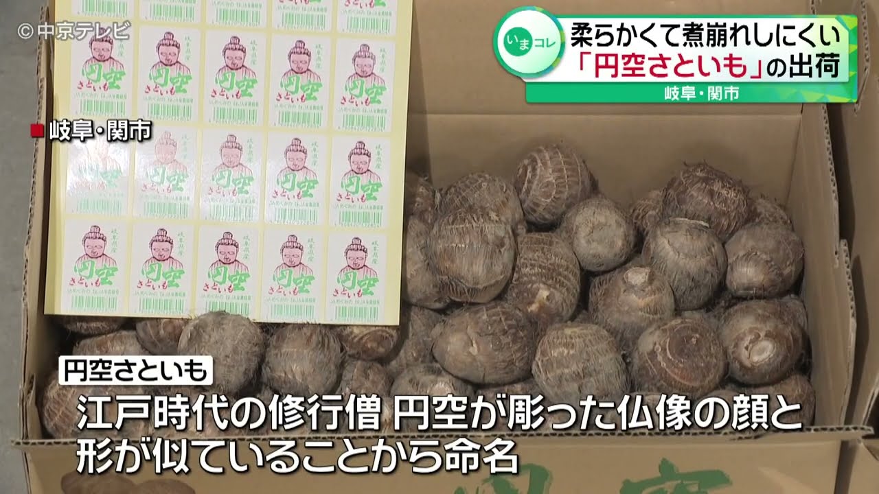 円空さといも」の出荷】 柔らかくて煮崩れしにくい 岐阜・関市 Youtube 
