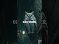 The Hidden Night Library of City Critters