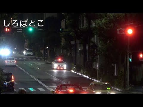 赤信号に変わってから２秒後に通過は見逃せないよぉ〜という感じで出てくるスーチャ　警視庁交通機動隊　覆面パトカーによる取り締まり。