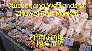 Xucuogang Wetlands & Zhuwei Fish Market - 許厝港濕地和竹圍魚市場