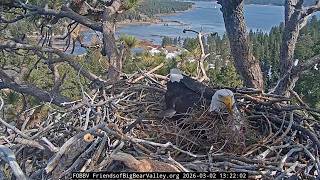 3-2-2026 “Fluff” Arrives in Bulk… screenshot 1