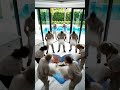 We Cut A Heart Into Our Kitchen Floor… Then THIS Happened 😱🌊