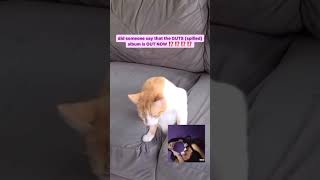 Download Lagu OBSESSED with this entire album fr ༉‧₊˚ 🦋 GUTS (Spilled) 💜 ❀༉‧₊˚. MP3