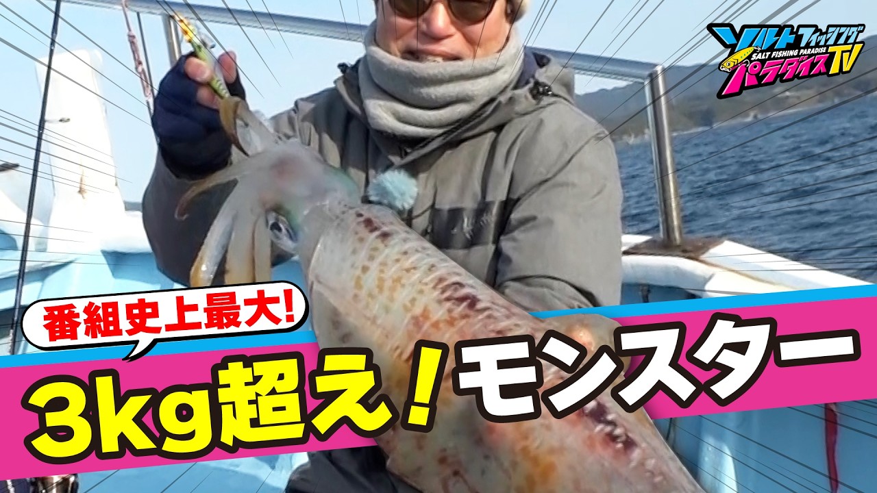ソルトフィッシングパラダイスTV – SALT FISHING PARADISE TV